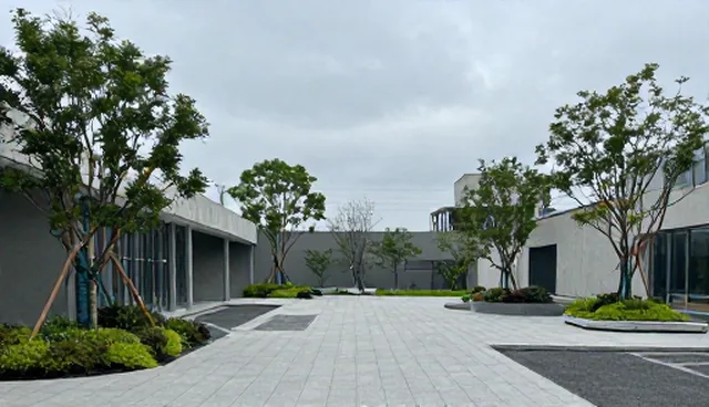 提升域名推广效率的关键选型与使用建议